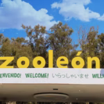 Foto: ZooLeón / Quadratín