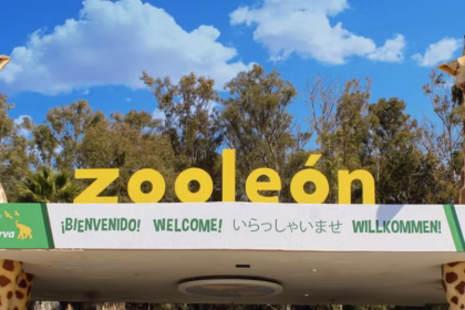 Foto: ZooLeón / Quadratín