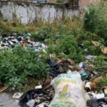 Denuncian montones de basura en la 10 de Mayo, Foto: Renata Quintanar