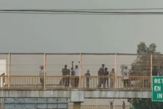 Foto: Cortesía SSP
