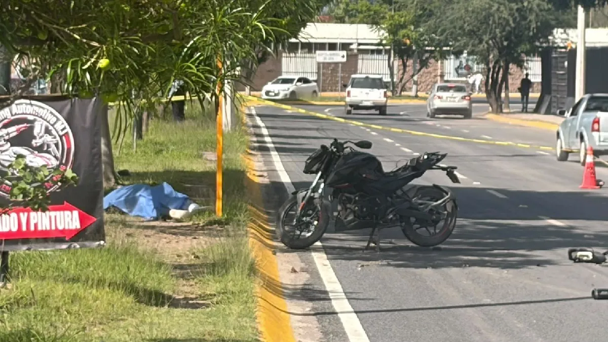 Foto: Cortesía AM